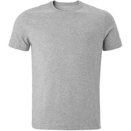 Camiseta Apertada Slim Fit Modelo Zaara Cinza